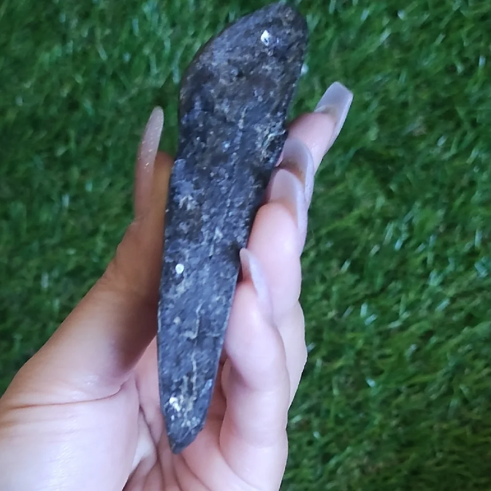 Megalodon FOSSIL TOOTH